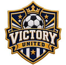 Sports Team Iron On Patches